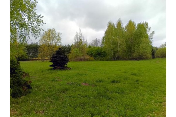 Smogorzewo Pańskie, Winnica, Działka na sprzedaż