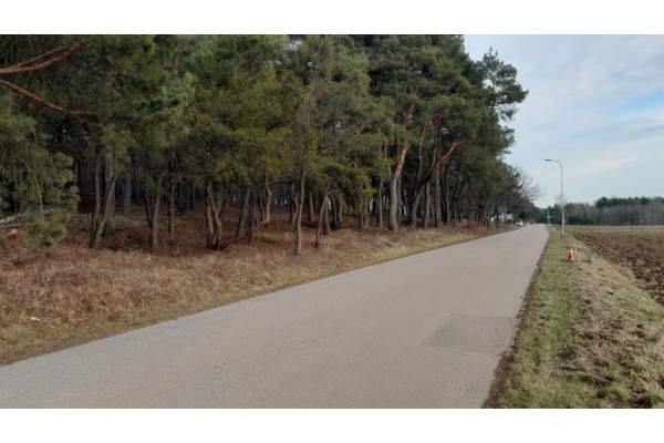 Skrzeszew, Wieliszew, Działka na sprzedaż