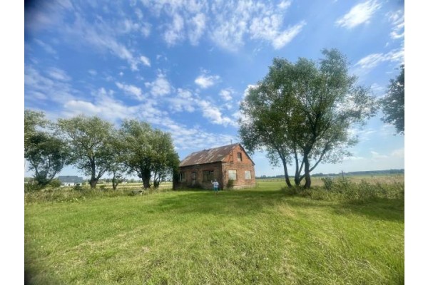 Mogowo, Nasielsk, Działka na sprzedaż