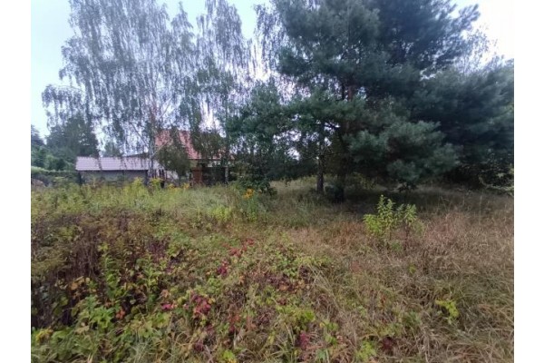 Michał&oacute;w-Regin&oacute;w, Wieliszew, Działka na sprzedaż